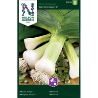 Lök, Purjo-, Herbstriesen 2, höst, v30