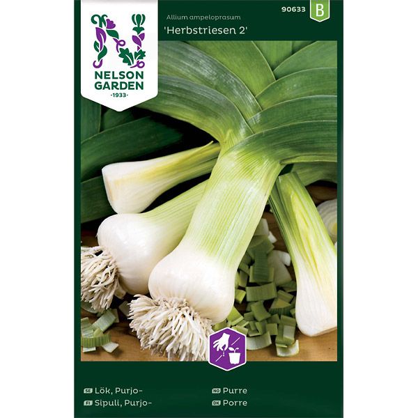 Lök, Purjo-, Herbstriesen 2, höst, v30
