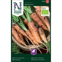 Morot, Sommar-, Berlicum 2, Organic, v26