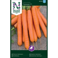 Morot, Sommar-, Flyaway F1, v26