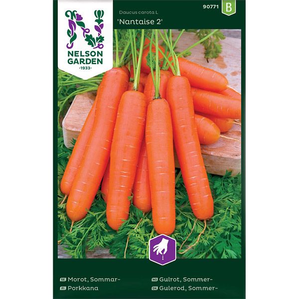 Morot, Sommar-, Nantaise 2, v26