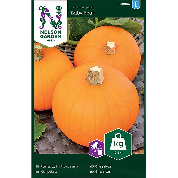 Pumpa, Baby Bear, Mini, v26