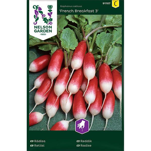 Rädisa, French Breakfast 3, avlång, v30