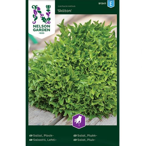 Sallat, Plock-, Skilton, v30)