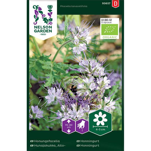Honungsfacelia, blå, Organic, v13
