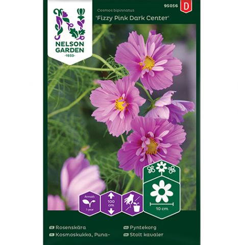 Rosenskära, Fizzy Pink Dark Center, v21