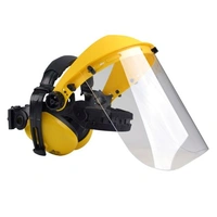 Hörselskydd m plexivisir