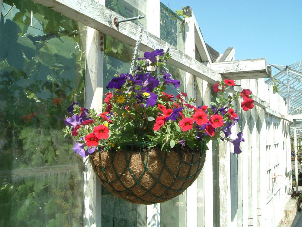 Trådampel grön 40 cm (K)