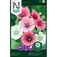 Malva, Prakt-, bl färger, v26