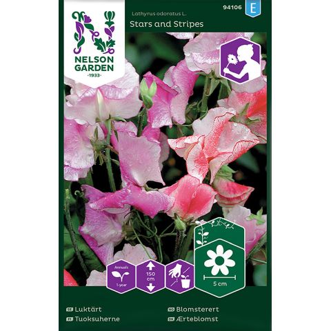 Luktärt, Stars and Stripes, bl färger, v22