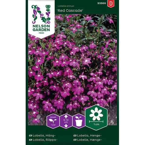 Lobelia, Häng-, Red Cascade, v17