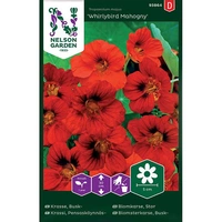 Krasse, Busk-, Whirlybird Mahogny, v26