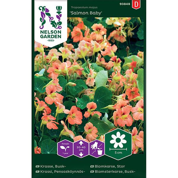 Krasse, Busk-, Salmon Baby, laxrosa, v26