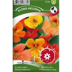 Krasse, Slinger-,  bl färger, v26