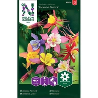 Akleja, Pastell-, McKana Giants, v22