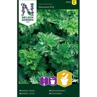 Selleri, Blad-, Gewone Snij, v13