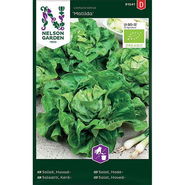 Sallat, Huvud-, Matilda, Organic, v30