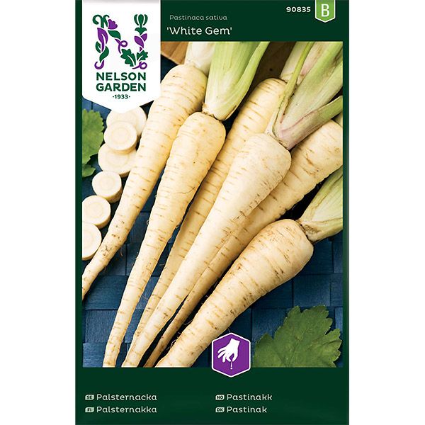 Palsternacka, White Gem, v30
