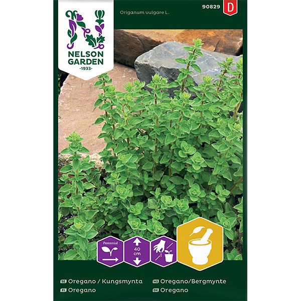 Oregano, Kungsmynta, v30