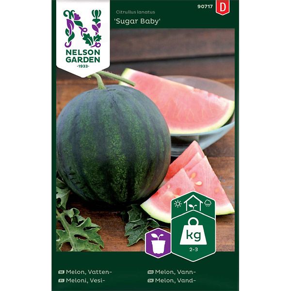 Melon, Vatten-, Sugar Baby, v22