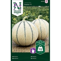 Melon, Stellio F1, v22