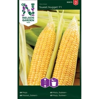 Majs, Sweet Nugget F1, v22