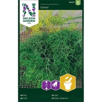Dill, Vanlig, Como, v30