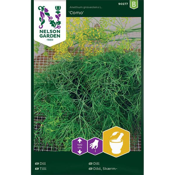 Dill, Vanlig, Como, v30