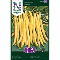 Böna, Vax-, Maxidor, v26