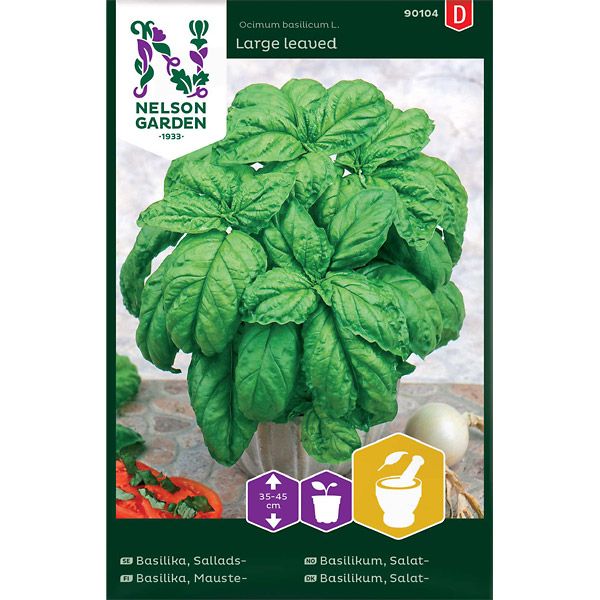 Basilika, Sallads-, Storbladig, v30
