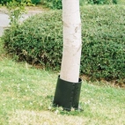 Trimningsskydd för träd