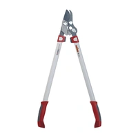 Wolf grensax papegoj