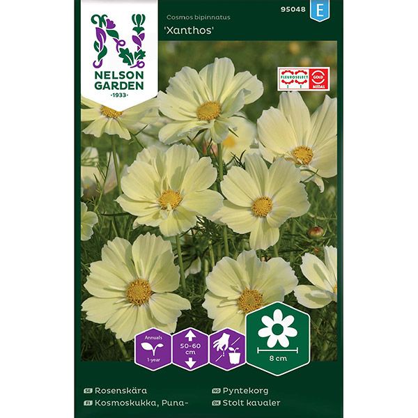 Rosenskära, Xanthos, v22