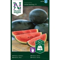 Melon, Vatten-, Little Darling F1, v22