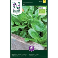 Sallat, Vinter- / Mache, Vit, Organic, v30