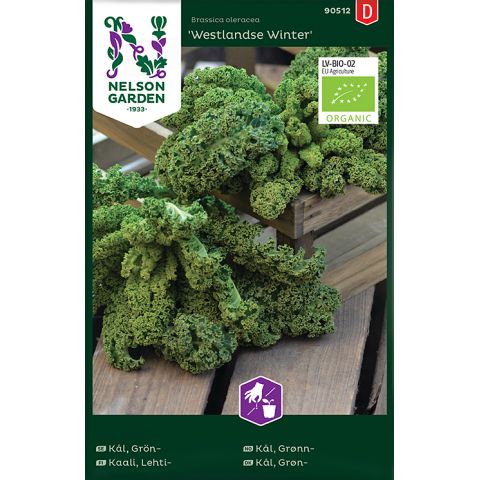 Kål, Grön-, Westlandse Winter, Organic, v24