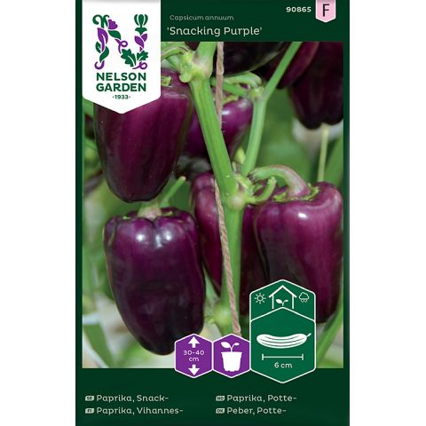 Paprika, Snack-, Snacking Purple, v13