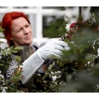 Handske Hestra Roshandske