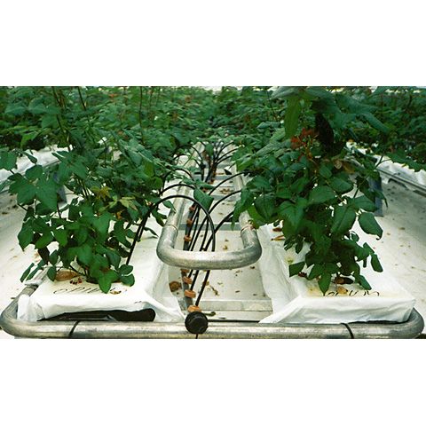 Tryckreglerande Drippers 4l/h svart/grå