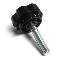 Skruv till Zubat och Forester såg