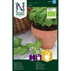 Basilika Loki Grön Organic, v30