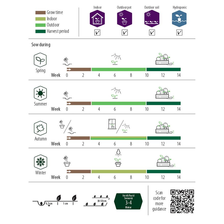Dill, Blad-, Teddy, v30
