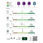 Dill, Blad-, Teddy, v30