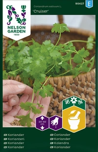 Koriander, Crusier v22