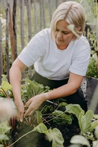 Rödbeta, Hullahoop Mix v26