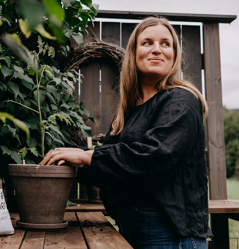 Tomat, Hög Bronzy Organic v15