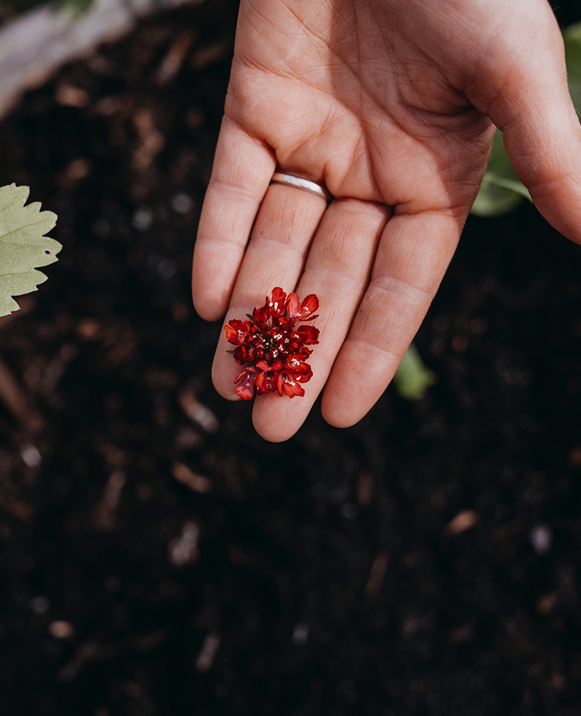 Vädd Prakt Summer fruits v22