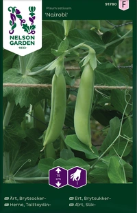 Ärt, brytsocker Nairobi v26