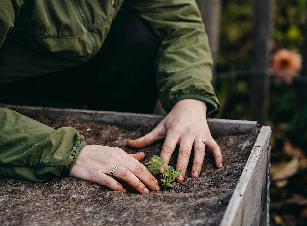 Odlingsduk ull 120x80cm 250g/kvm 5mm