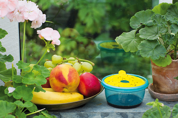 Bananflugefälla (5 limark)